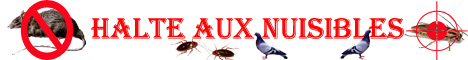 STOP-NUISIBLE est spécialisée dans la désinsectisation, la dératisation, désinfection , l'hygiène urbaine antiparasitaire, l'héradication des insects, cafards, blattes, fourmis, puces, punaises, mites, la supression des rongeurs, rats, souris, les déinfection du à des champignons, la dépigeonnisation, en generale toutes nuissances parasitaires, Paris et Ile de France